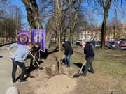 Člani Lions kluba Ljubljana sadijo drevo v Cekinovem drevoredu Mestnega parka Tivoli